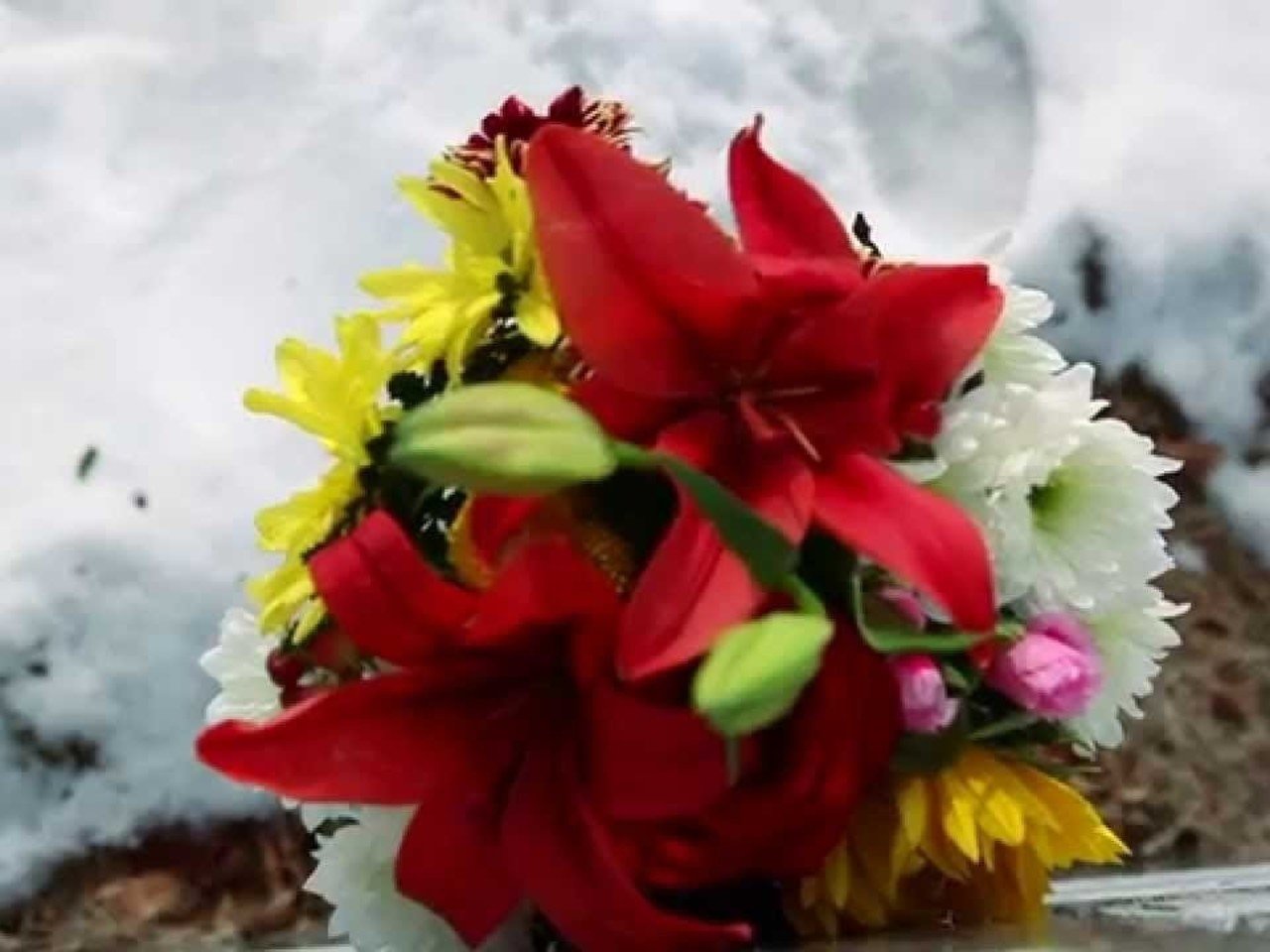 Javier Luis – Un Hombre Nuevo